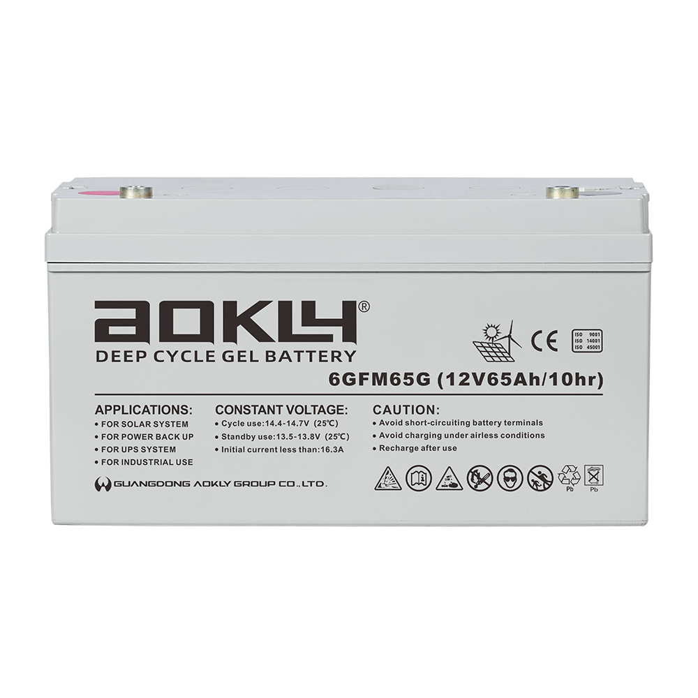 Batterie Aokly Gel Vrla GEL. 6GFM100G. 100Ah 12V. (330x172x214mm) - VT  BATTERIES