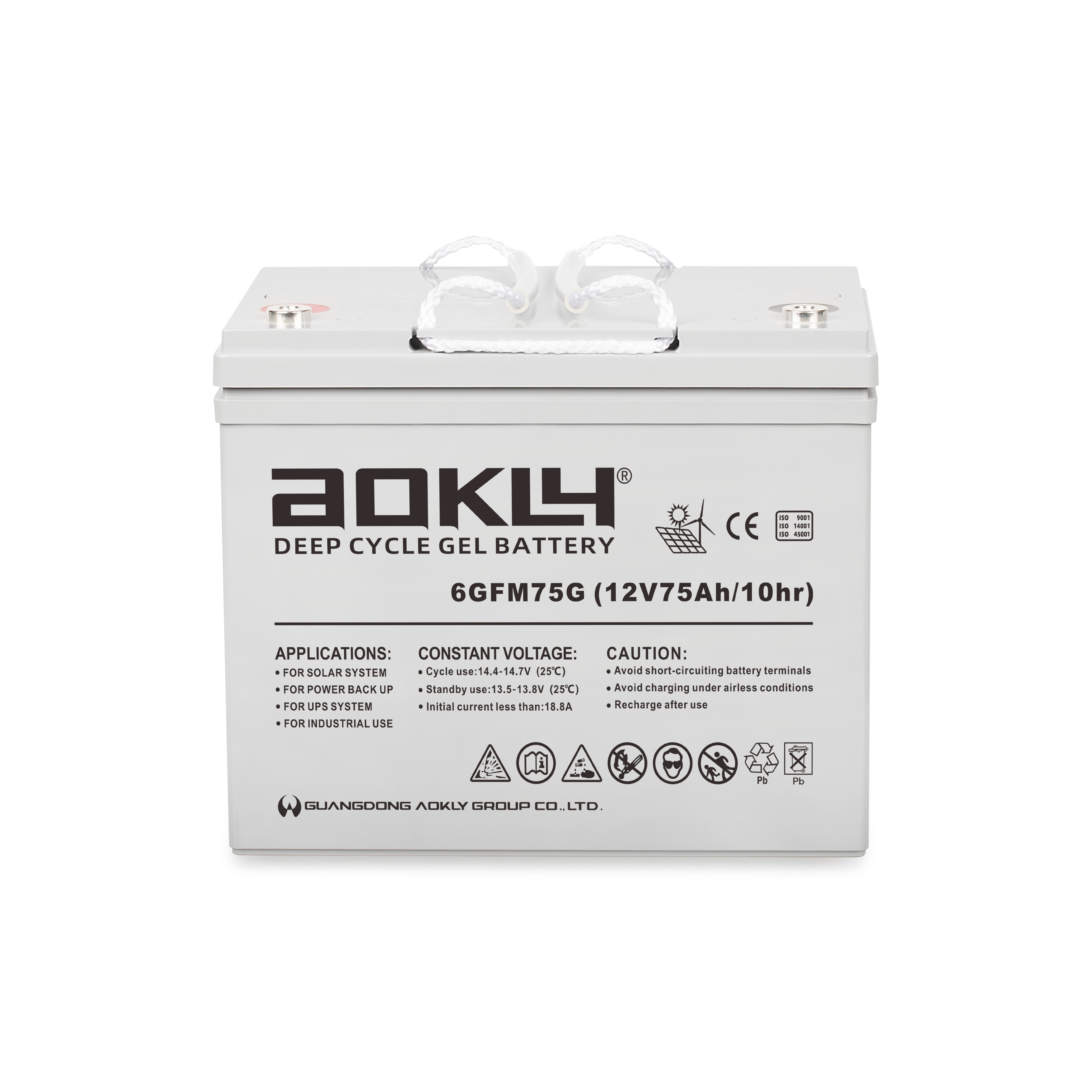 Batterie Aokly Gel Vrla GEL. 6GFM150G. 150Ah 12V. (483x170x240mm) - VT  BATTERIES
